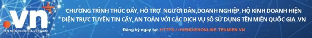 Hiện diện tên miền quốc gia